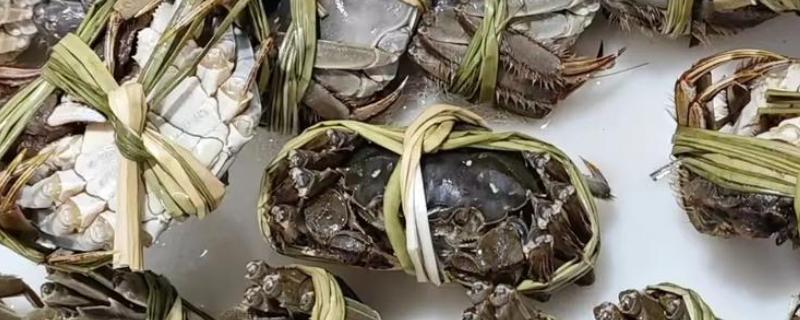 辨别大闸蟹的方法，正宗大闸蟹背部呈青色