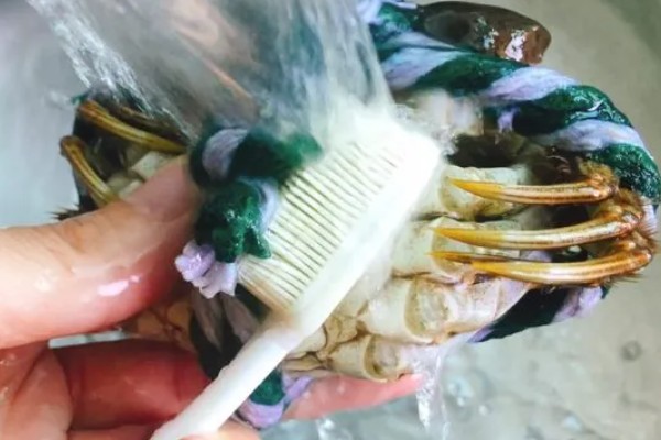 辨别大闸蟹的方法,正宗大闸蟹背部呈青色