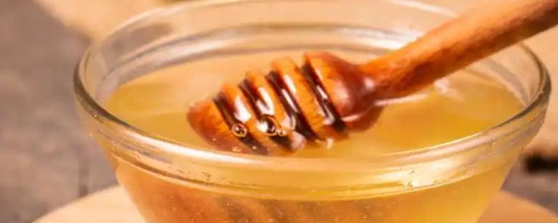 椴树蜜怎么吃，用温开水冲服