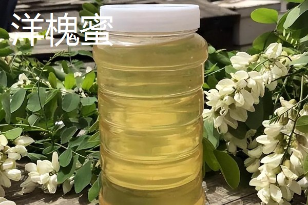哪些蜂蜜品质好，常见洋槐蜜、荆条蜜、椴树蜜等品种