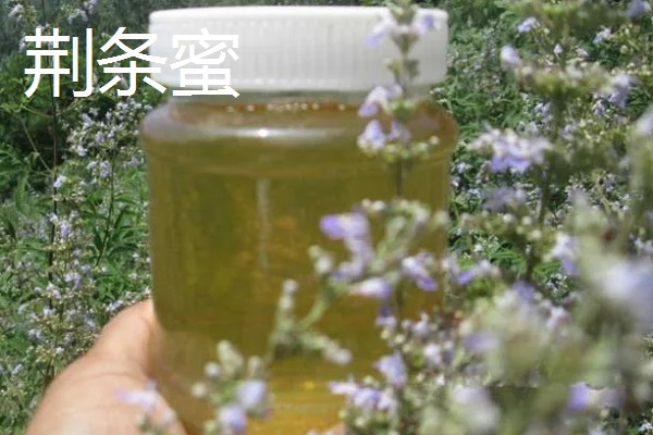哪些蜂蜜品质好，常见洋槐蜜、荆条蜜、椴树蜜等品种