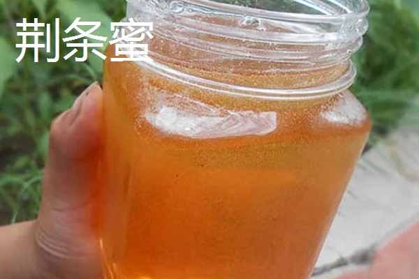 哪些蜂蜜品质好，常见洋槐蜜、荆条蜜、椴树蜜等品种