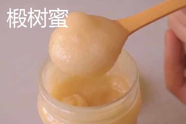 哪些蜂蜜品质好，常见洋槐蜜、荆条蜜、椴树蜜等品种