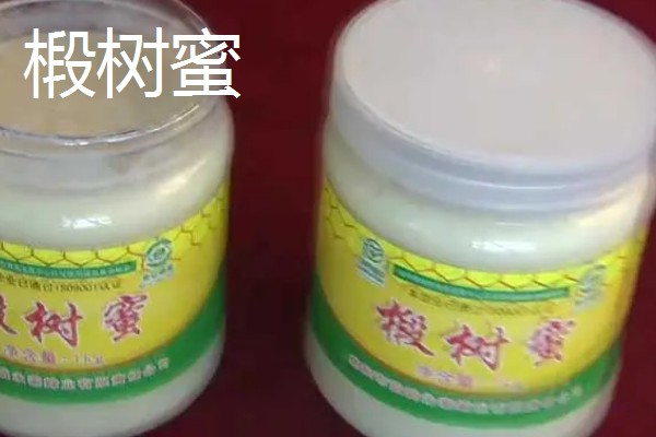 哪些蜂蜜品质好，常见洋槐蜜、荆条蜜、椴树蜜等品种