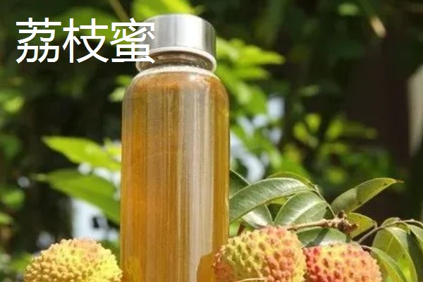 哪些蜂蜜品质好，常见洋槐蜜、荆条蜜、椴树蜜等品种