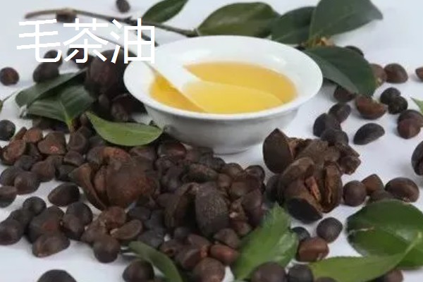 茶油怎么食用,有热炒、凉拌等方式