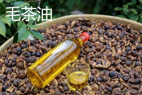 茶油怎么食用,有热炒、凉拌等方式