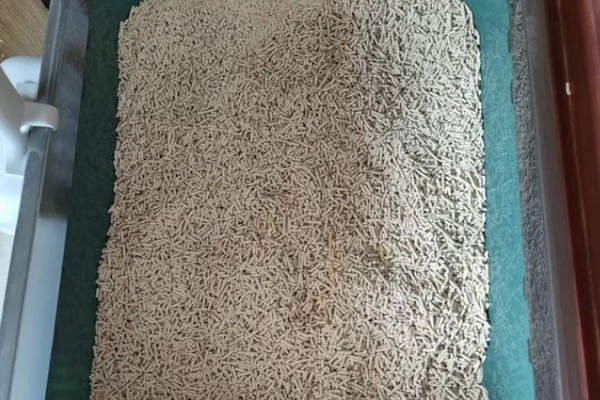 猫砂的更换间隔,取决于猫砂种类、饲养数量等条件