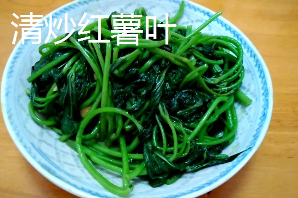 苕尖是不是红薯叶,属于红薯顶端的嫩叶