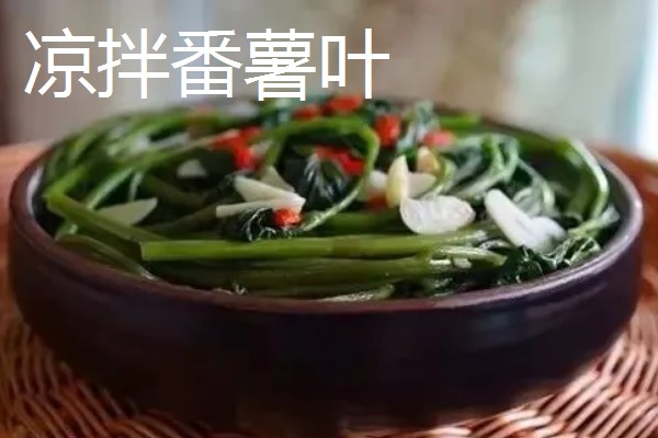 苕尖是不是红薯叶,属于红薯顶端的嫩叶
