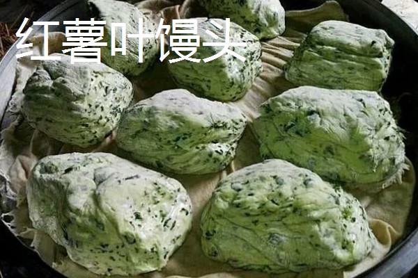 苕尖是不是红薯叶,属于红薯顶端的嫩叶