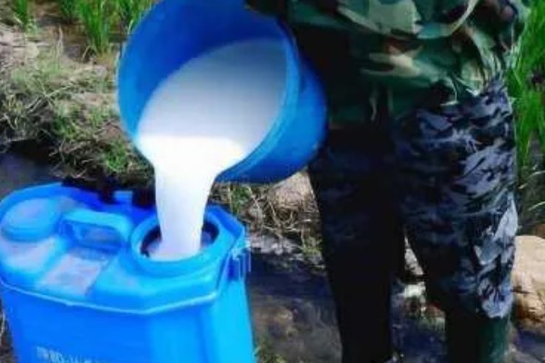 杀虫单的主要防治对象，对于水稻二化螟、三化螟等害虫有很好的防效