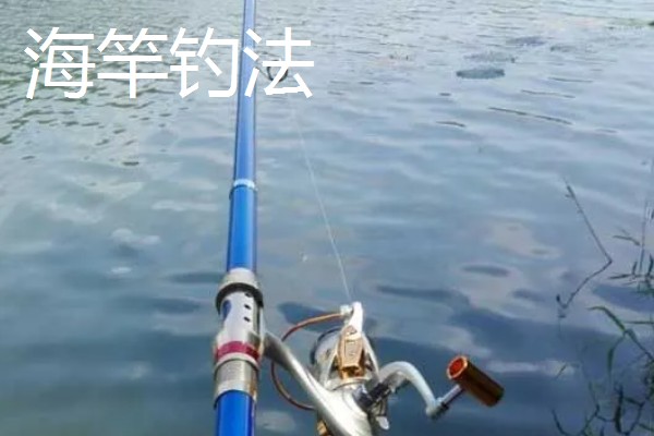 鲶鱼钓法技巧,可以用海竿也可以用手竿