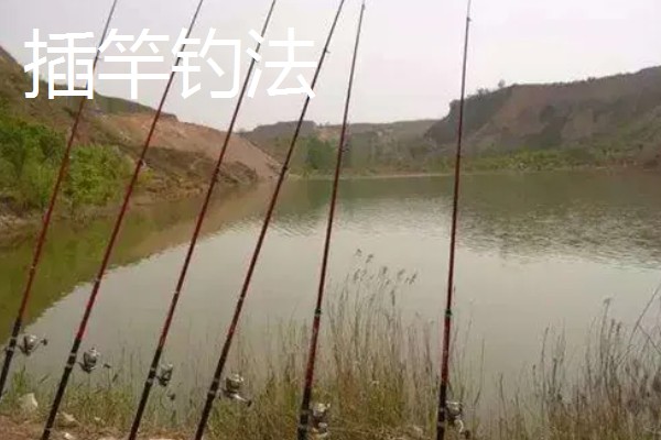 鲶鱼钓法技巧,可以用海竿也可以用手竿