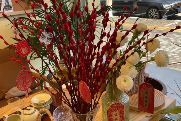 银柳的花期,5-6月间持续开放一个月