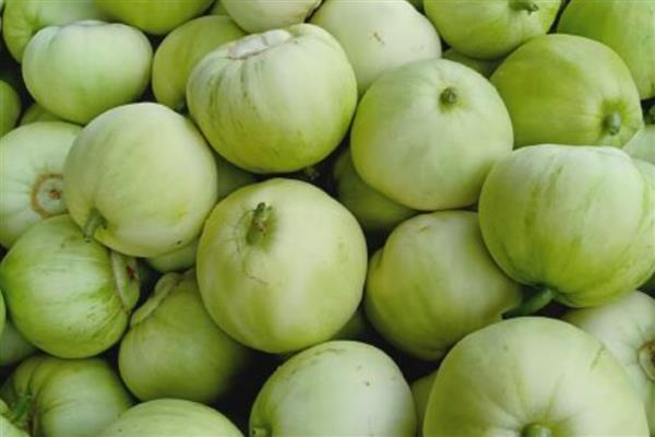 香瓜怎么加工,可以做成腌香瓜、糖醋香瓜等食品