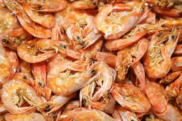 我国哪里产出的虾米品质好，黄龙岛虾米堪称虾米中的上品
