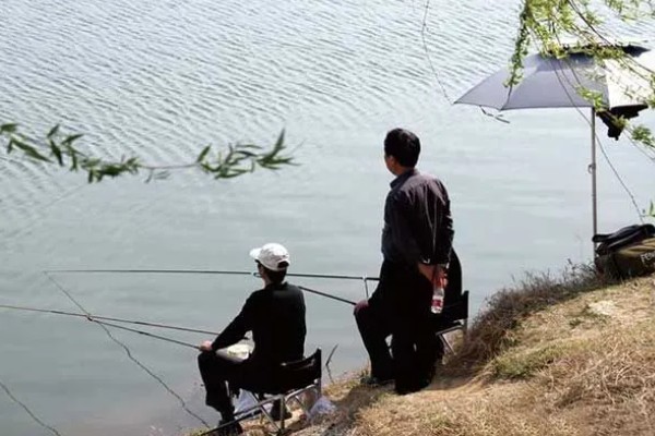 夏季水库钓鱼深度,1.5-3米比较合适