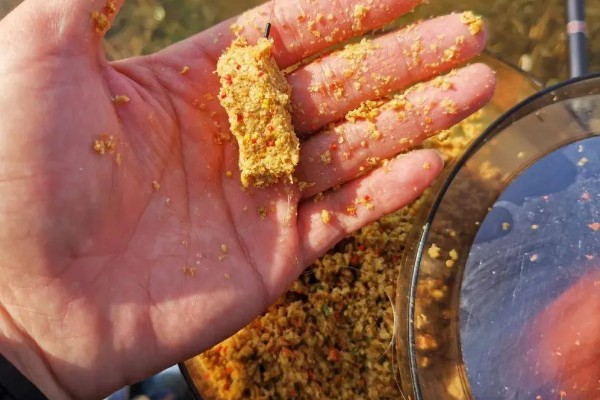 钓大鲫鱼如何避开麦穗鱼,麦穗鱼对粗颗粒粮食窝料不感兴趣