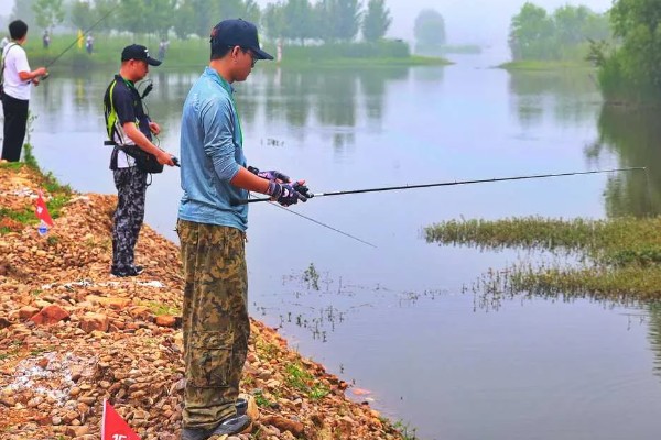 钓大鲫鱼如何避开麦穗鱼,麦穗鱼对粗颗粒粮食窝料不感兴趣