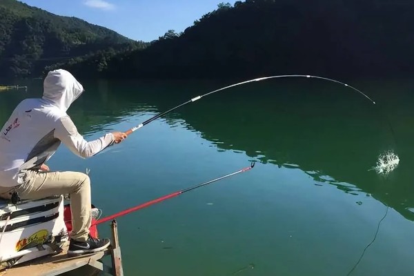 钓大鲫鱼如何避开麦穗鱼,麦穗鱼对粗颗粒粮食窝料不感兴趣