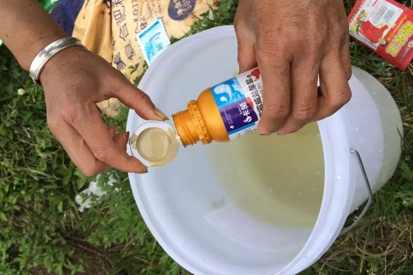 代森锰锌的作用,对作物有明显的促壮作用