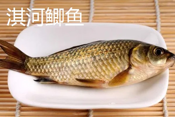 鲫鱼的种类有哪些,有土鲫鱼、方正银鲫等
