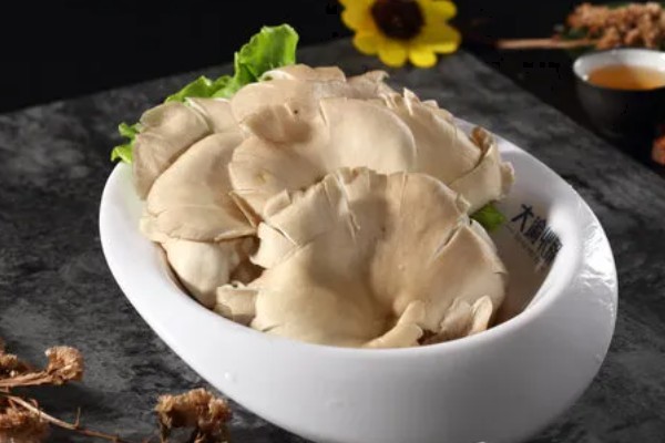 凤尾菇和平菇的区别,菌盖和菌柄均不同