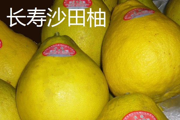 沙田柚的品种有哪些，有容县沙田柚、梅州沙田柚等