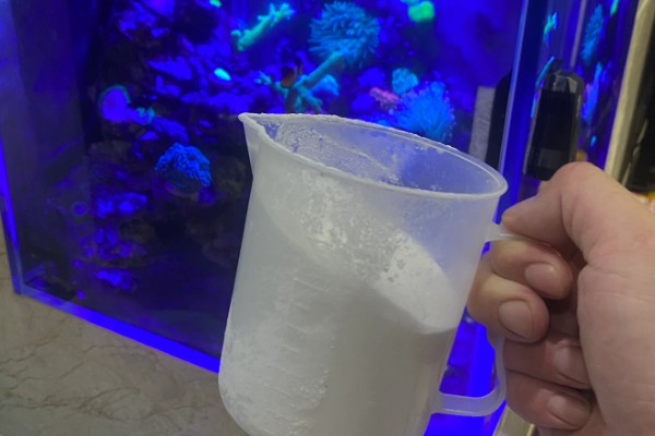 鱼鳃病的治疗方法,常采用盐浴法