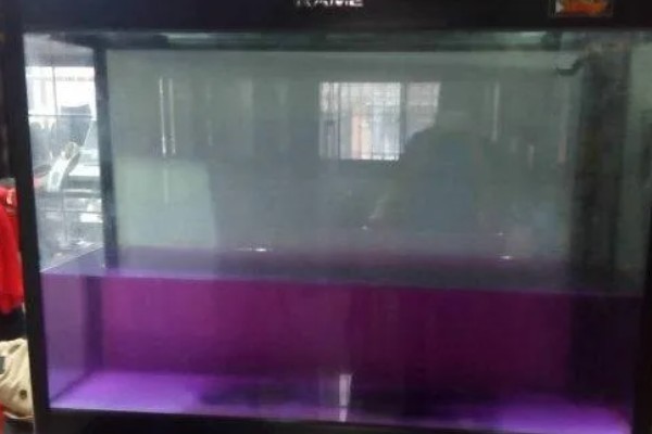 鱼鳃病的治疗方法,常采用盐浴法
