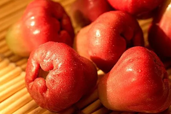 莲雾开花结果的时间,5-6月开花7-8月结果