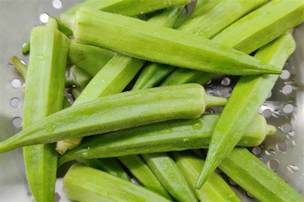 茄果类蔬菜有哪些，有茄子、辣椒等