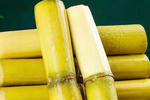 甘蔗的品种，有青皮甘蔗、黑皮甘蔗等