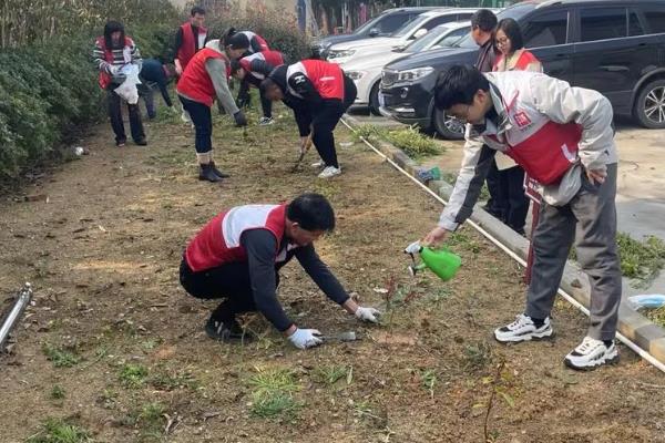 植树节为何要种树,由林学家韩安、凌道扬等倡议设立