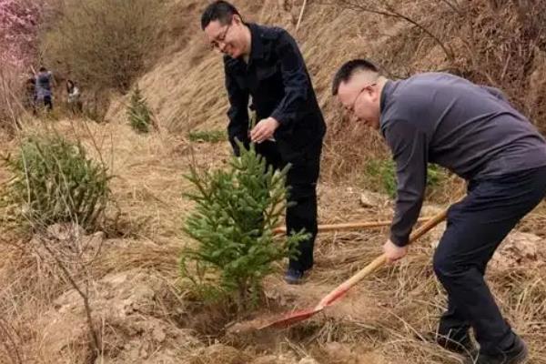 植树节为何要种树,由林学家韩安、凌道扬等倡议设立