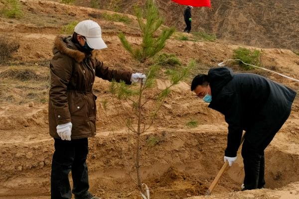 植树节为何要种树,由林学家韩安、凌道扬等倡议设立