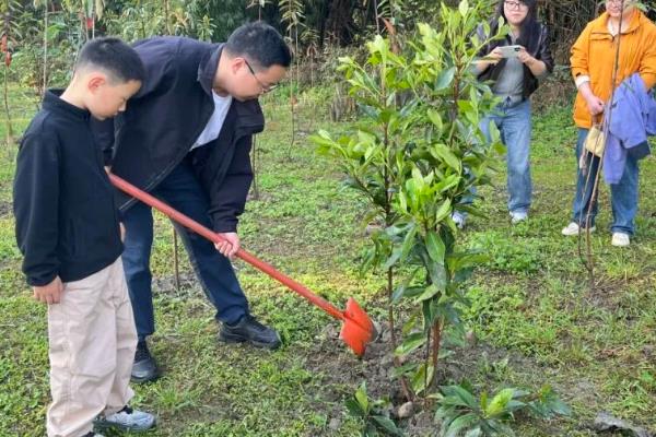 植树节为何要种树,由林学家韩安、凌道扬等倡议设立