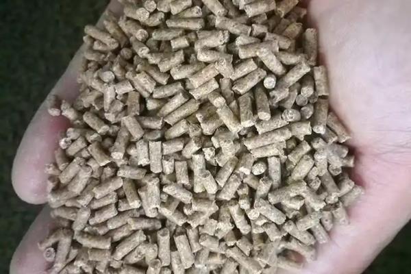 钓鲫鱼用哪种钩，袖钩是首选钩型