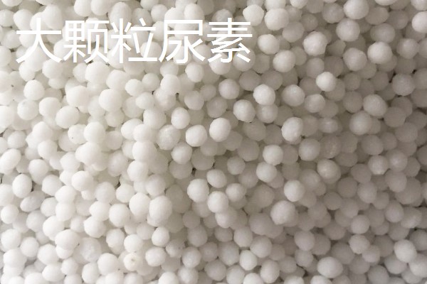 新型尿素有什么类型,分为大颗粒尿素、包衣尿素等品种