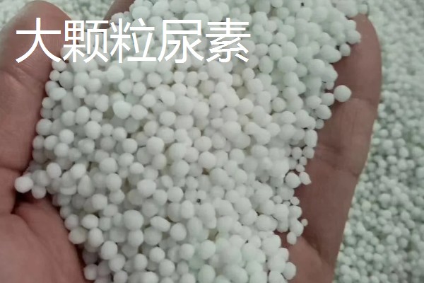 新型尿素有什么类型,分为大颗粒尿素、包衣尿素等品种