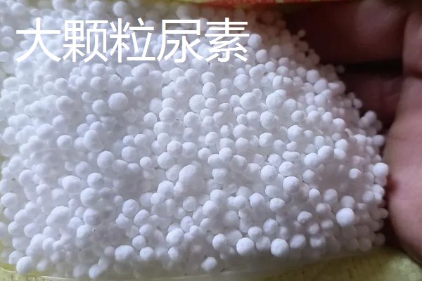 新型尿素有什么类型,分为大颗粒尿素、包衣尿素等品种