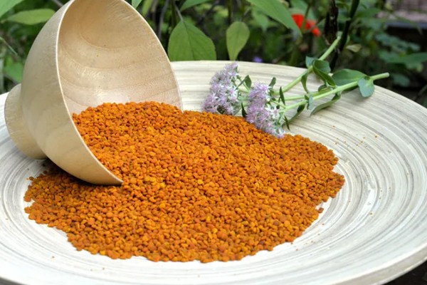 茶花粉的来源,是由蜜蜂从茶花上采集的花粉团