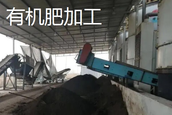 有哪些致富的种植项目,以下20个品种均可考虑