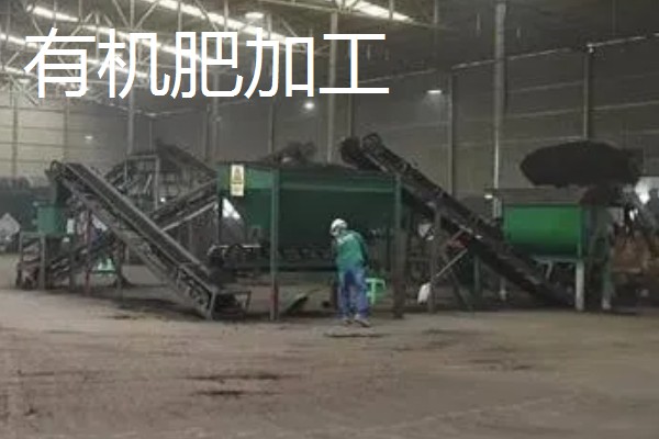 有哪些致富的种植项目,以下20个品种均可考虑