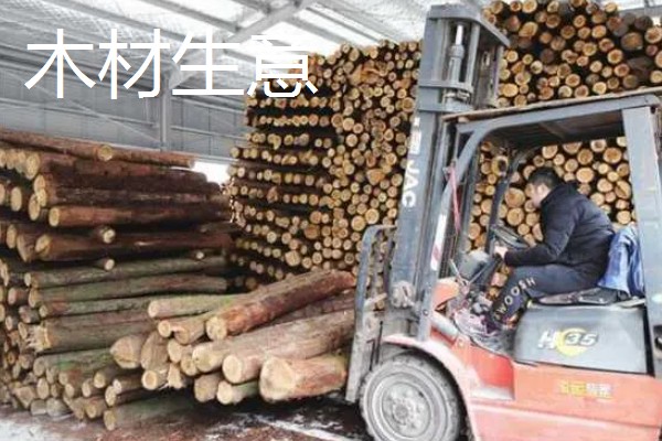 有哪些致富的种植项目,以下20个品种均可考虑