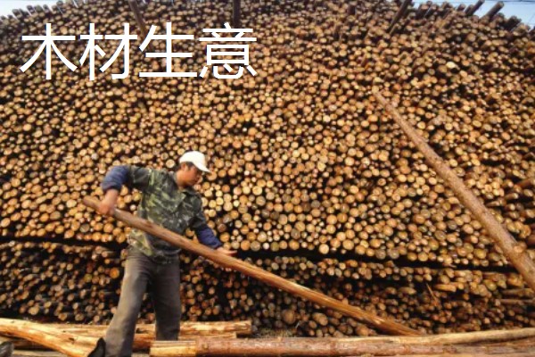 有哪些致富的种植项目,以下20个品种均可考虑