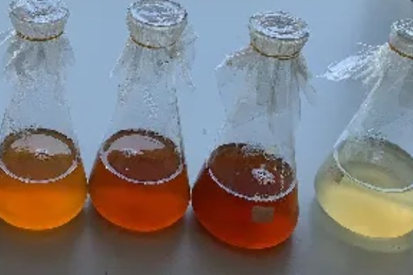 金针菇的种植方法,培养室的温度保持在20-25℃左右
