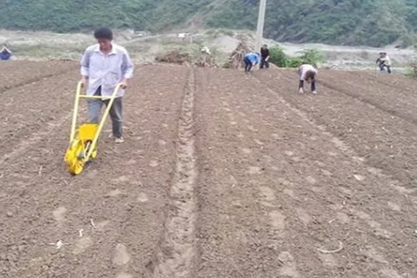 花生适合用什么叶面肥,选择含有氮磷钾的肥料