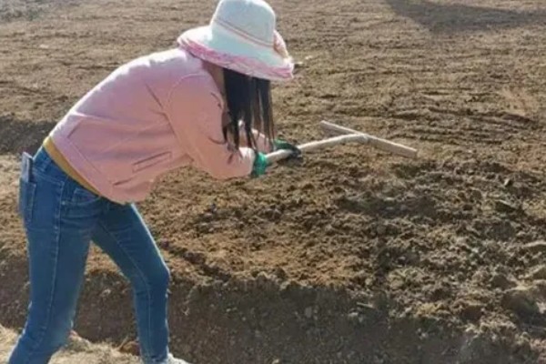 花生适合用什么叶面肥,选择含有氮磷钾的肥料